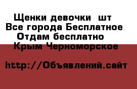 Щенки девочки 4шт - Все города Бесплатное » Отдам бесплатно   . Крым,Черноморское